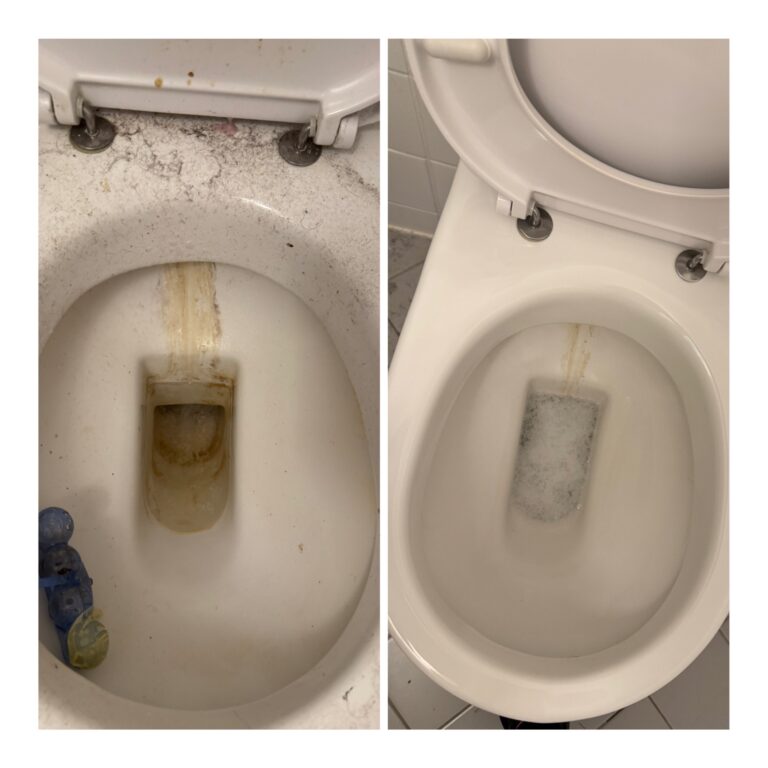 WC Reinigung