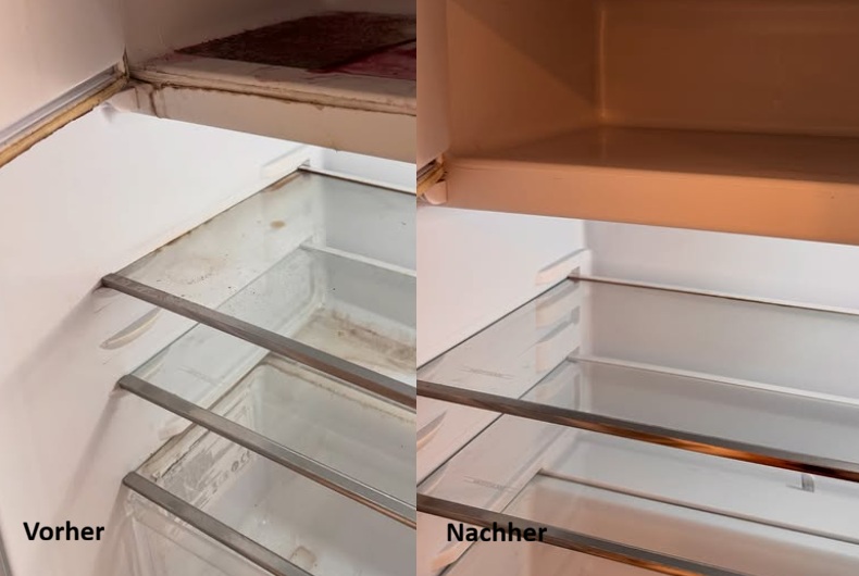 Grundreinigung vorher nachher Kühlschrank sauber